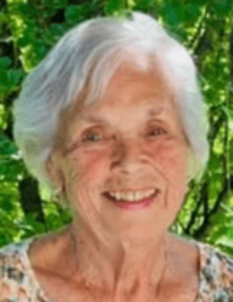 Patricia Ann (Creek) Varilly Obituary