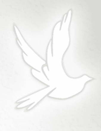 Debra A. (Rivers) West Obituary