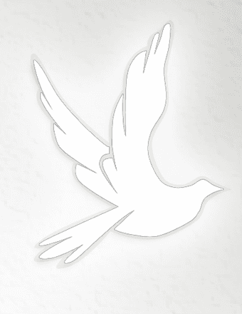 Frank A. Pydych Obituary